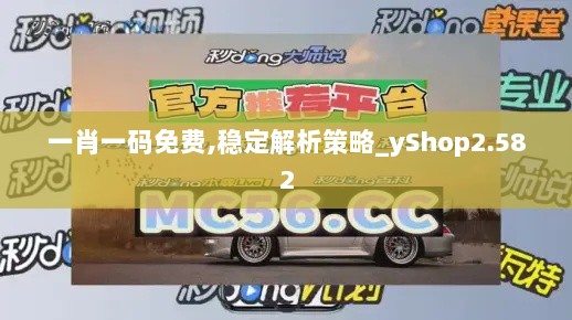 一肖一码免费,稳定解析策略_yShop2.582