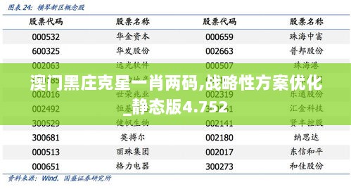 澳门黑庄克星一肖两码,战略性方案优化_静态版4.752