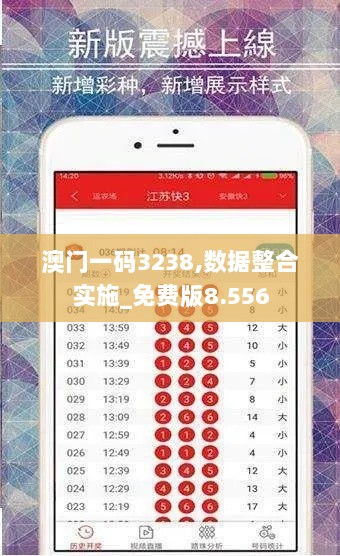 澳门一码3238,数据整合实施_免费版8.556