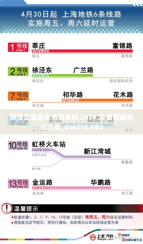 新澳正版全年免费资料 2023,全面数据执行方案_Gold10.982