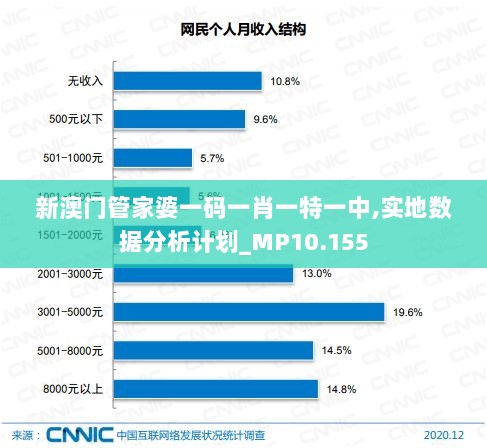 新澳门管家婆一码一肖一特一中,实地数据分析计划_MP10.155