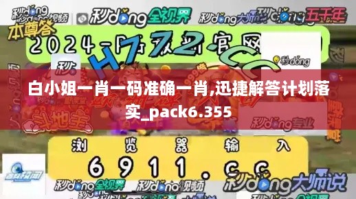 白小姐一肖一码准确一肖,迅捷解答计划落实_pack6.355