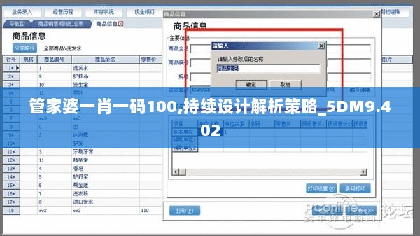 管家婆一肖一码100,持续设计解析策略_5DM9.402