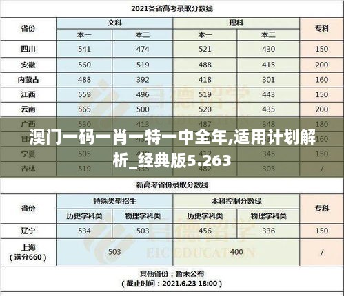 澳门一码一肖一特一中全年,适用计划解析_经典版5.263