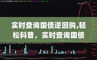 实时查询国债逆回购，操作解析与轻松科普指南