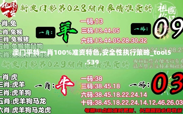 澳门平特一肖100%准资特色,安全性执行策略_tool5.539