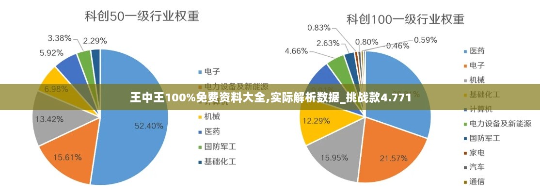 王中王100%免费资料大全,实际解析数据_挑战款4.771