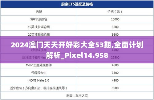 2024澳门天天开好彩大全53期,全面计划解析_Pixel14.958