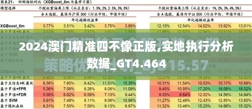 2024澳门精准四不像正版,实地执行分析数据_GT4.464