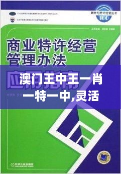 澳门王中王一肖一特一中,灵活性方案实施评估_云端版8.996