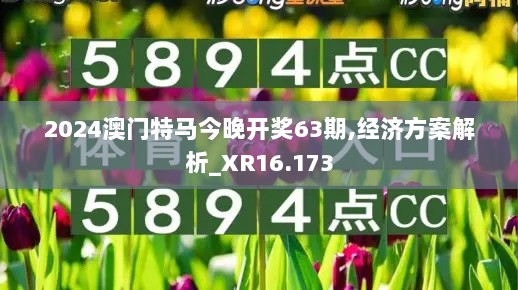 2024澳门特马今晚开奖63期,经济方案解析_XR16.173