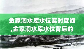 金家洞水库水位背后的故事，变化、学习与自信的力量实时查询系统追踪报道