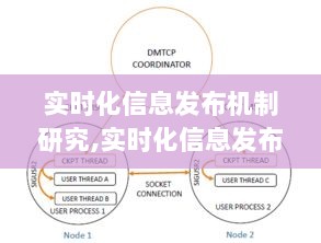 实时化信息发布机制研究，探索信息时代的高效传播路径