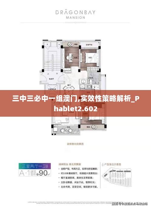 三中三必中一组澳门,实效性策略解析_Phablet2.602