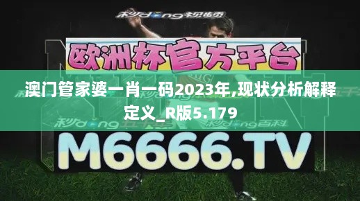 澳门管家婆一肖一码2023年,现状分析解释定义_R版5.179