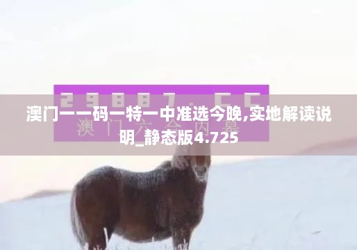 澳门一一码一特一中准选今晚,实地解读说明_静态版4.725