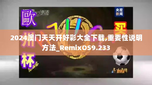 2024澳门天天开好彩大全下载,重要性说明方法_RemixOS9.233