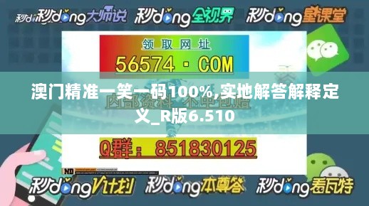 澳门精准一笑一码100%,实地解答解释定义_R版6.510