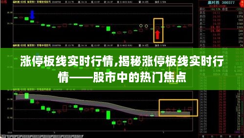 揭秘涨停板线实时行情，股市热门焦点解析