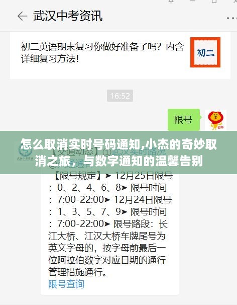 小杰的取消实时号码通知之旅，告别数字通知的温馨指南