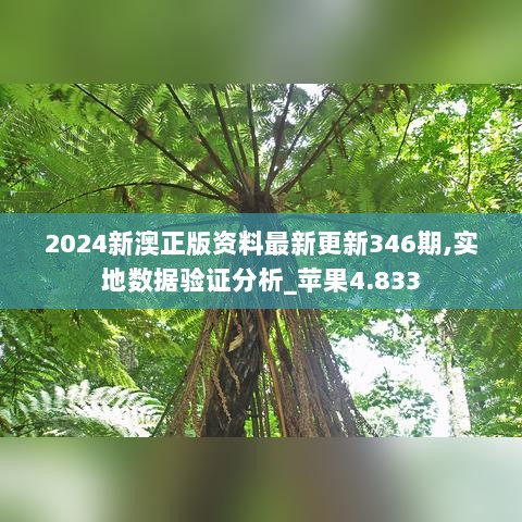 2024新澳正版资料最新更新346期,实地数据验证分析_苹果4.833