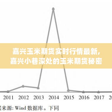 嘉兴玉米期货实时行情揭秘，隐藏版行情小店的独特魅力与小巷深处的秘密