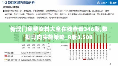 新澳门免费资料大全在线查看346期,数据导向实施策略_R版3.508