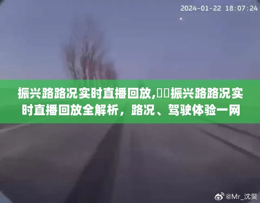 振兴路路况实时直播回放全解析，路况与驾驶体验一网打尽回顾视频