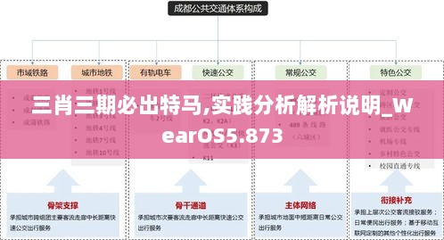 三肖三期必出特马,实践分析解析说明_WearOS5.873