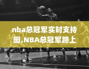 NBA总冠军实时支持图，热血与温情的奇妙旅程