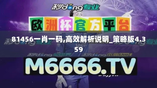 81456一肖一码,高效解析说明_策略版4.359