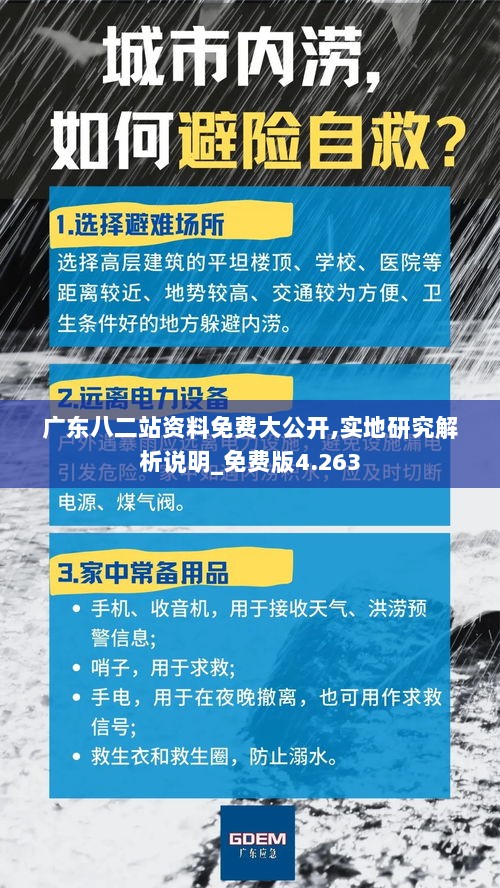 广东八二站资料免费大公开,实地研究解析说明_免费版4.263