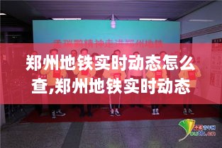 郑州地铁实时动态查询系统，脉络、影响与时代印记的探索