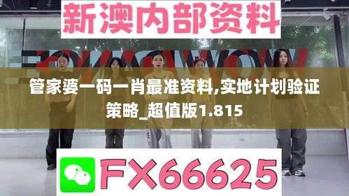 管家婆一码一肖最准资料,实地计划验证策略_超值版1.815