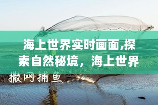 探索自然秘境，海上世界实时画面探寻内心宁静与平和的乐趣