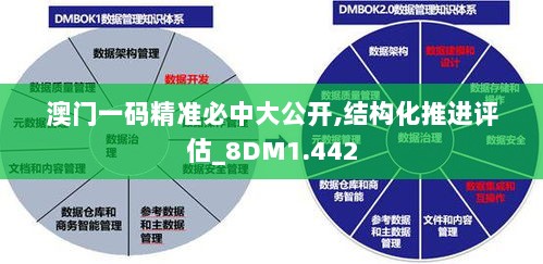 澳门一码精准必中大公开,结构化推进评估_8DM1.442