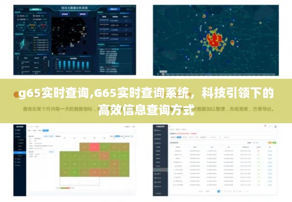 G65实时查询系统，科技驱动的高效信息查询新标杆