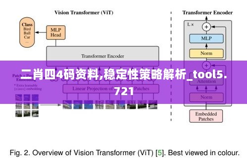 二肖四4码资料,稳定性策略解析_tool5.721