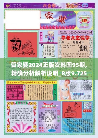 管家婆2024正版资料图95期,精确分析解析说明_R版9.725