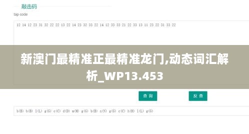 新澳门最精准正最精准龙门,动态词汇解析_WP13.453