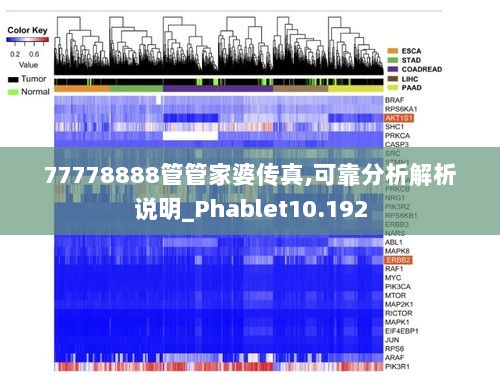 2024年12月12日 第66页