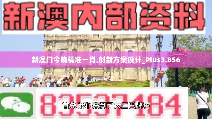 新澳门今晚精准一肖,创新方案设计_Plus3.856