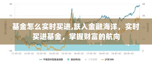 实时掌握基金买进技巧，跃入金融海洋，开启财富航程