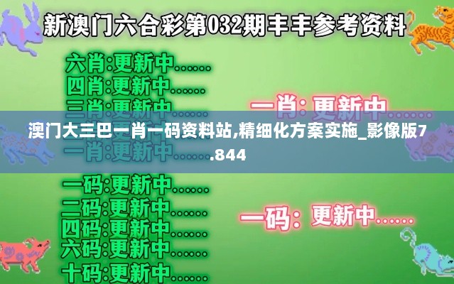 澳门大三巴一肖一码资料站,精细化方案实施_影像版7.844