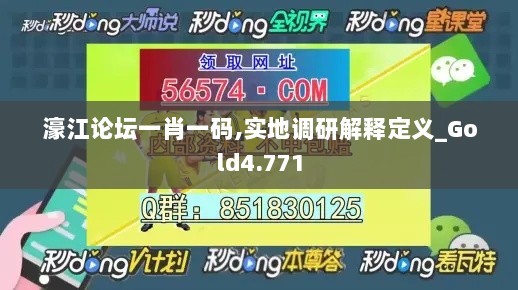 濠江论坛一肖一码,实地调研解释定义_Gold4.771