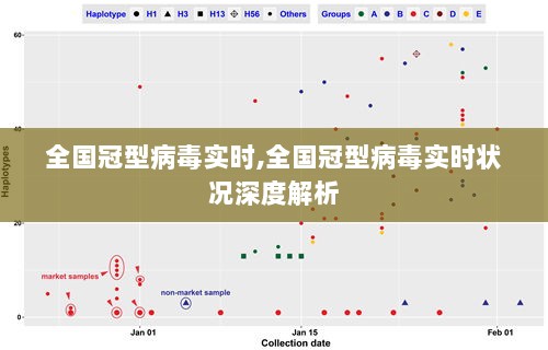 全国冠型病毒实时状况深度解析与最新动态报告