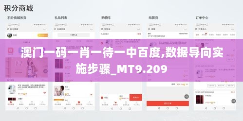 澳门一码一肖一待一中百度,数据导向实施步骤_MT9.209