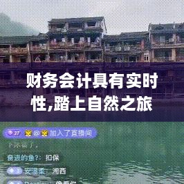 财务会计实时性与心灵宁静的自然之旅探索