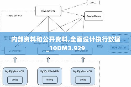 内部资料和公开资料,全面设计执行数据_10DM3.929