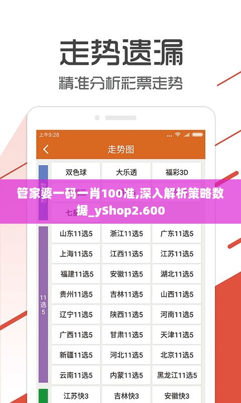 管家婆一码一肖100准,深入解析策略数据_yShop2.600